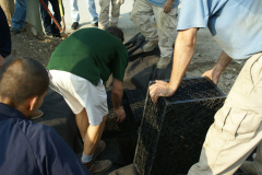 Water Features - Jessup Maryland