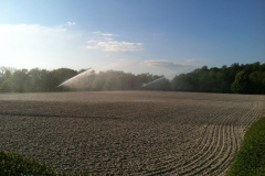 Irrigation Projects - Farm