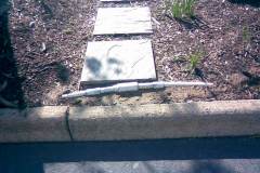 Irrigation system repairs