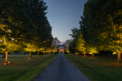 Landscape Lighting Installation
