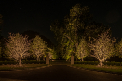 Landscape Lighting Installation