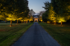 Landscape Lighting Installation