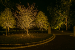 Landscape Lighting Installation