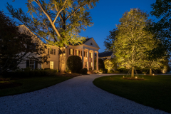 Landscape Lighting Installation