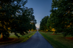 Landscape Lighting Installation
